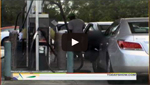 How Clean is Your Rental Car?